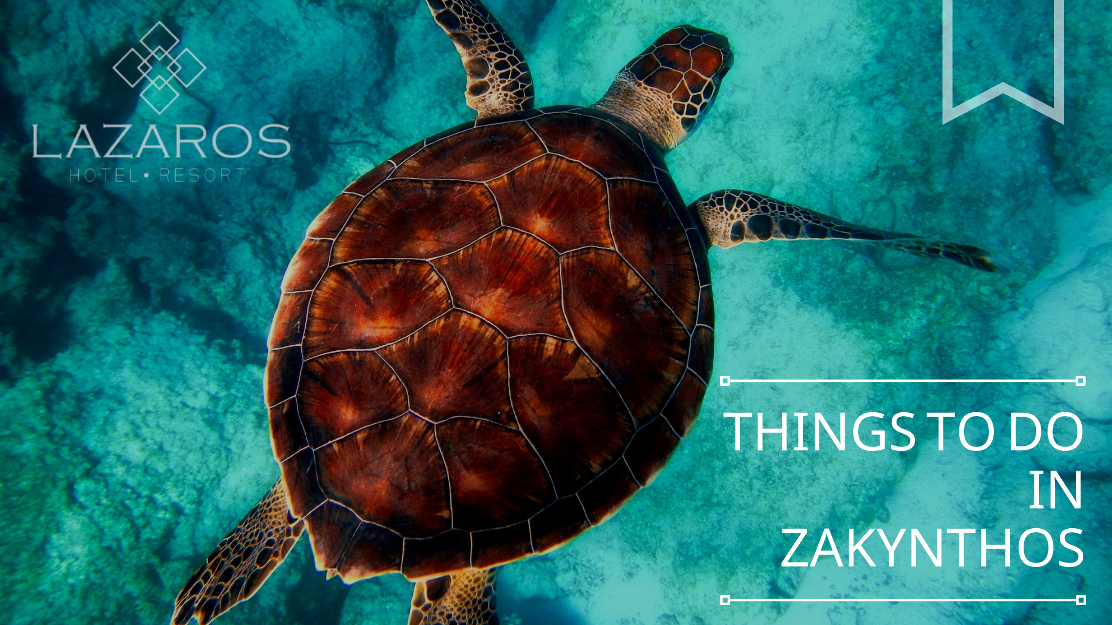 Things to do in Zakynthos